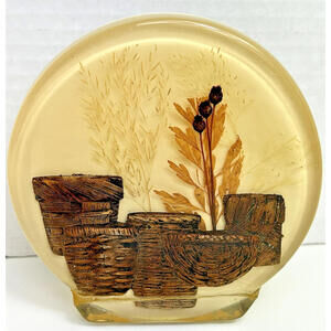 Vintage Lucite Napkin Mail Letter Holder Acrylic MCM Pressed Leaf Flowers